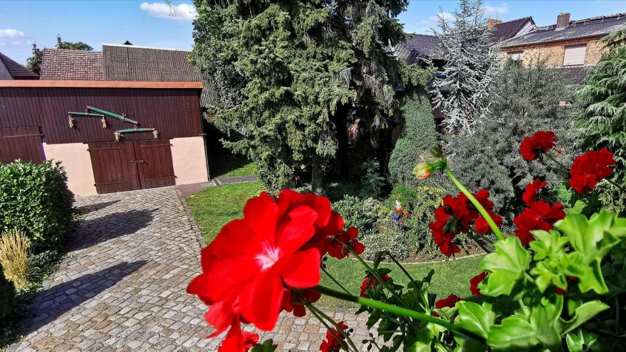 Ferienwohnungen Dirk Laurisch Radensdorf Exterior foto